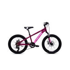 CAPRIOLO MTB LC 200 20'' 6AL ljubičasta 925518-11