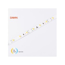 DAWN HL 2835-60-WW 24V LED traka