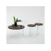 HANAH HOME Set stolova Serenity 2 Transparent Walnut