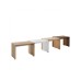 HANAH HOME Sto za dnevnu sobu RSH 300 DD 1