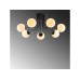 OPVIQ Luster Daisy 147 AV