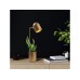 OPVIQ Stona lampa Pot 11490