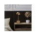 OPVIQ Stona lampa Sept 13373