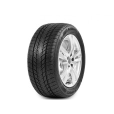 DAVANTI 225/60R16 102V Wintoura zim