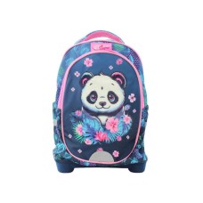 DEXY CO START RANAC ANATOMSK PANDA