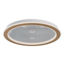 RABALUX Efrael 71282 LED plafonjera