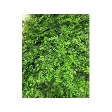 Bolzz ZELENI ZID 3D PARK 40X60 CM