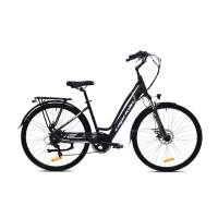 CAPRIOLO E-BIKE E-CITY LADY 28'' sivo-maslino 925811