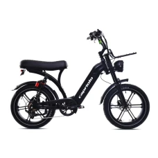 CAPRIOLO E-bike E-MATIC 20'' (926810)