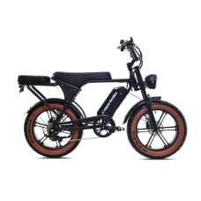 CAPRIOLO E-BIKE E-RETRO 20'' 926815 CAPRIOLO E-BIKE E-RETRO 20'' 926815
