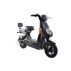 CAPRIOLO E-BIKE E1 RX20 292026-K
