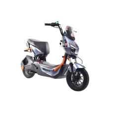 CAPRIOLO E-BIKE E2 RX20 Sivi 292027-S-K