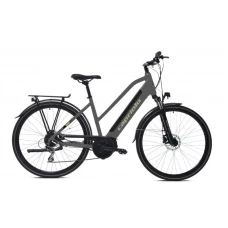 CAPRIOLO E-BIKE ECO 700.3.2 sivo 923812-48
