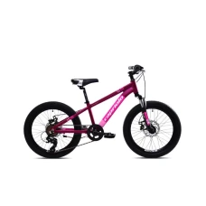 CAPRIOLO MTB LC 200 20'' 6AL ljubičasta 925518-11