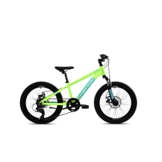 CAPRIOLO MTB LC 200 20'' 6AL zeleno 925517-11