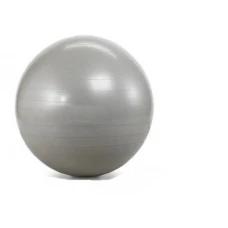 CAPRIOLO Pilates lopta 75cm sivo  291360-S