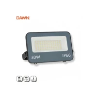 DAWN GN-FL913-30W CCT LED reflektor