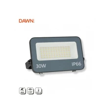 DAWN GN-FL913-30W CCT LED reflektor