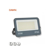 DAWN GN-FL913-50W CCT LED reflektor