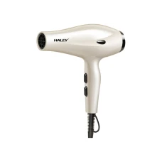 HALEY HY4023 Fen 2200W