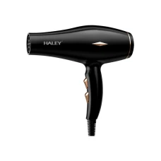 HALEY HY4031 Fen 2200W