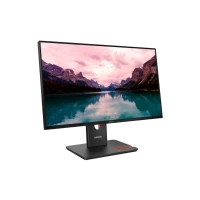 LENOVO 24 ThinkVision T24-40 64A4MAT2EU