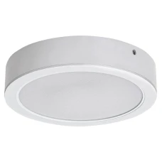 RABALUX Shaun2 71204 LED plafonjera
