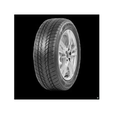 DAVANTI 225/45R17 94V Wintoura+ XL zim