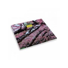 MAESTRO Digitalna  podna vaga MR1823