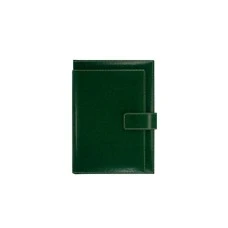 NOVASKIN Agenda B5 EXCLUSIVE Kelly green