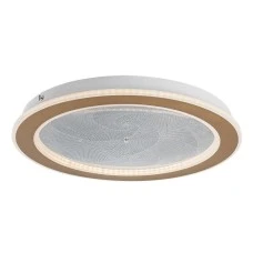 RABALUX Efrael 71281 LED plafonjera