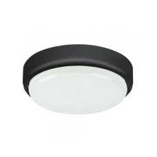RABALUX Hort 7407 LED zidna/plafonska lampa