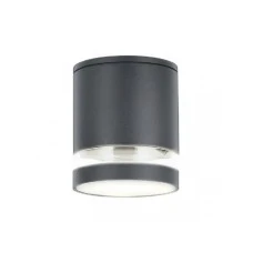 RABALUX Spoljno plafonsko svetlo zombor antracit