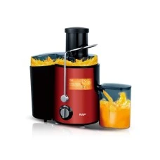 RAF R.2817R Sokovnik 1000W